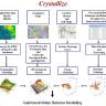 Development of a 3D Geological Mapping and Database Interface to Support Interconnected Groundwater and Surface Water Management